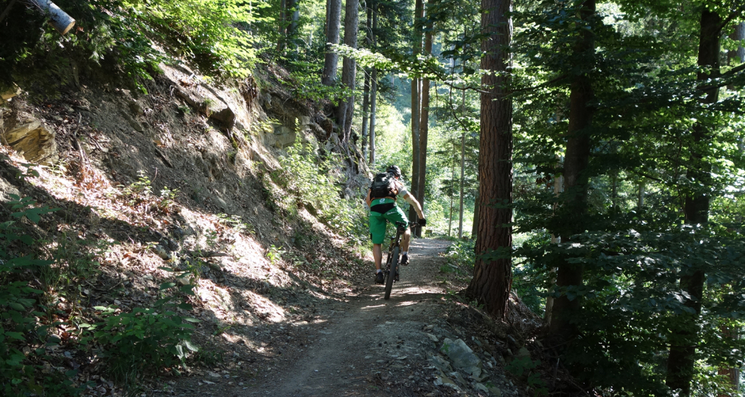 Flowiger Trail zurück in die Stadt Chur Flowiger Trail zurück in die Stadt Chur