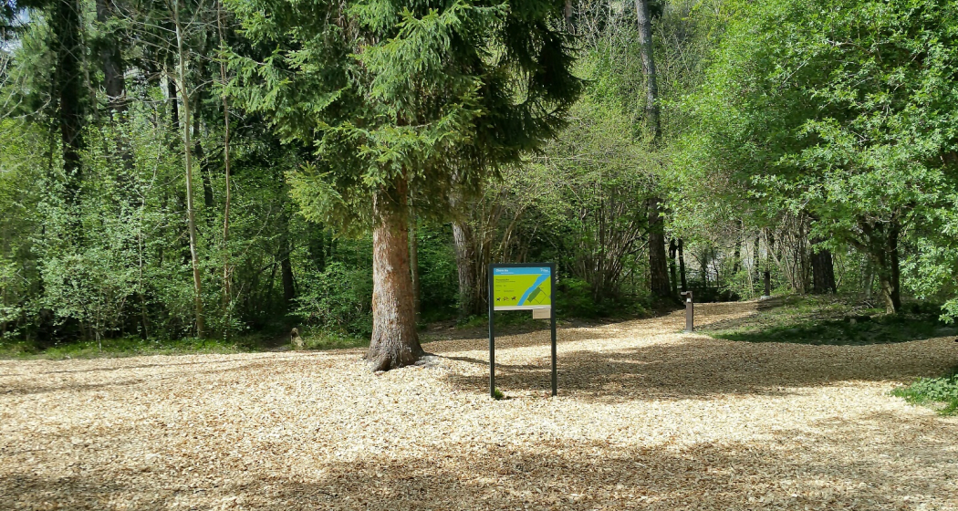 Finnenbahn Obere Au Finnenbahn Obere Au